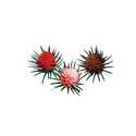 Pommes de pin assorties sur pique (x 144) Pommes de pin assorties sur pique (x 144)