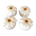 Formes à fleurs de marguerites en pâte à sucre Formes à fleurs de marguerites en pâte à sucre