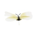 Papillons ivoires aimantés assortis (x3) Papillons ivoires aimantés assortis (x3)