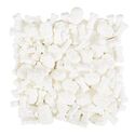 Décors comestibles crânes blancs Wilton Décors comestibles crânes blancs Wilton