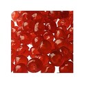 Cerises Bigarreaux confites rouges 1 Kg Cerises Bigarreaux confites rouges 1 Kg