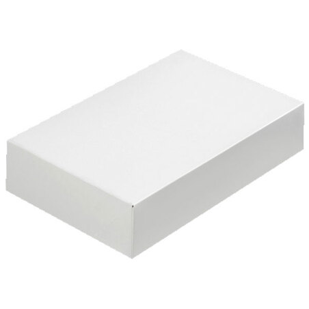 Coffret lunch blanc (x50)