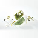 Moule silicone Rond Pavoni Moule silicone Rond Pavoni