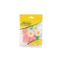 Marguerites assorties (x12) Marguerites assorties (x12)