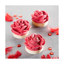 Arôme Framboise Sébalcé 500 ml Arôme Framboise Sébalcé 500 ml