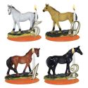 Kit bougie cheval Kit bougie cheval