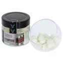 Champignons verts comestibles 20 g Champignons verts comestibles 20 g