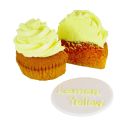 Colorant alimentaire naturel jaune PME Colorant alimentaire naturel jaune PME