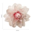 Dahlia rose géant azyme Dahlia rose géant azyme
