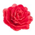Rose rouge géante azyme Rose rouge géante azyme