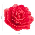 Rose rouge géante azyme Rose rouge géante azyme