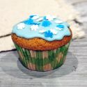 Caissettes cupcakes "Vichy vert anis" (x50) Caissettes cupcakes "Vichy vert anis" (x50)