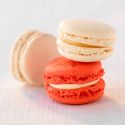 Préparation pour coques de macarons 250 g Patisdécor Préparation pour coques de macarons 250 g Patisdécor