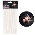 Bâtons à Cake Pops 16 cm (+/-35) Bâtons à Cake Pops 16 cm (+/-35)