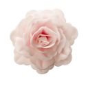 Rose rose géante azyme Rose rose géante azyme