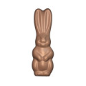 Moule chocolat lapinou Moule chocolat lapinou